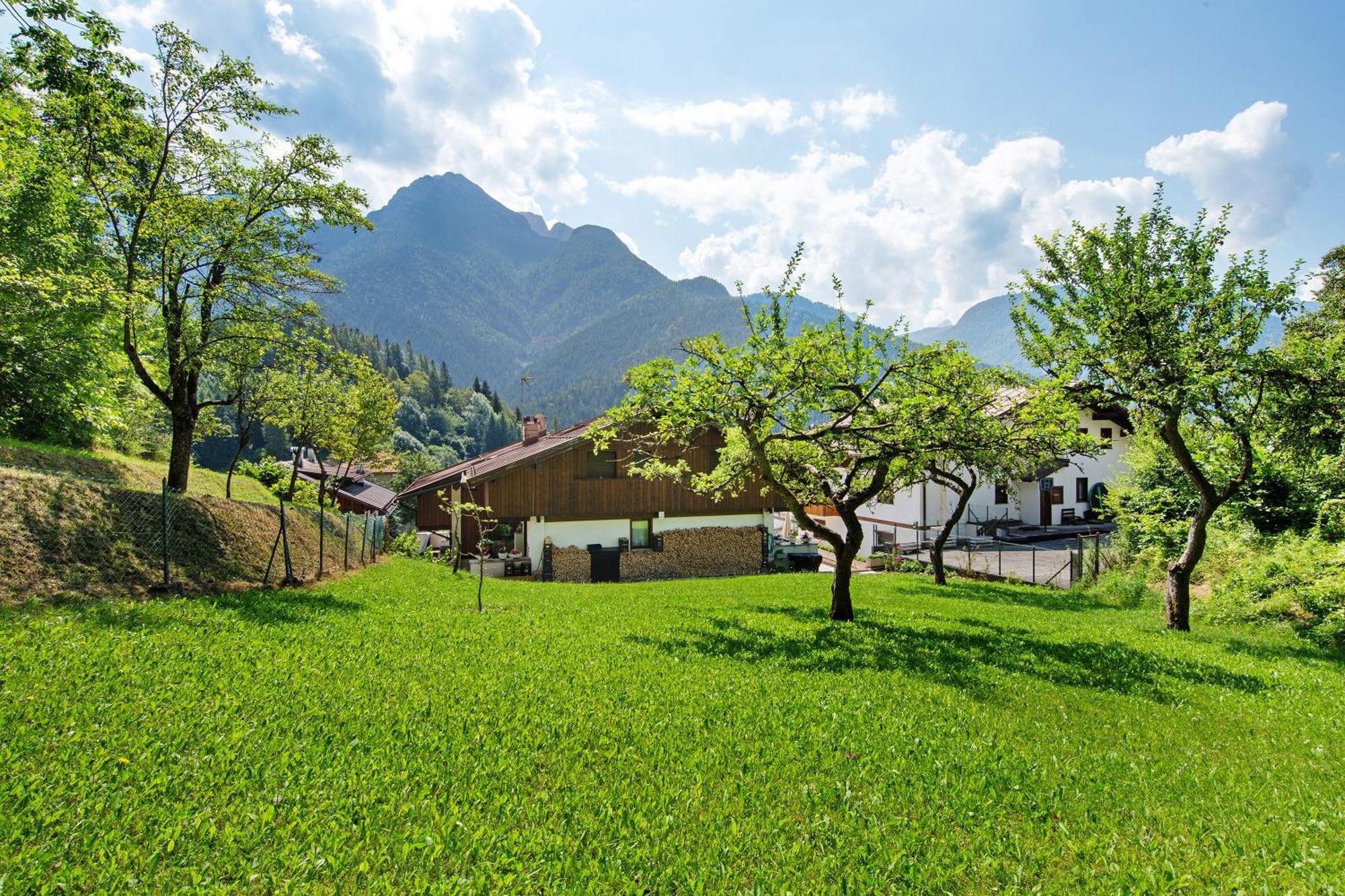 Monolocale Monti Pallidi Domegge di Cadore Exterior foto